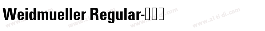 Weidmueller Regular字体转换